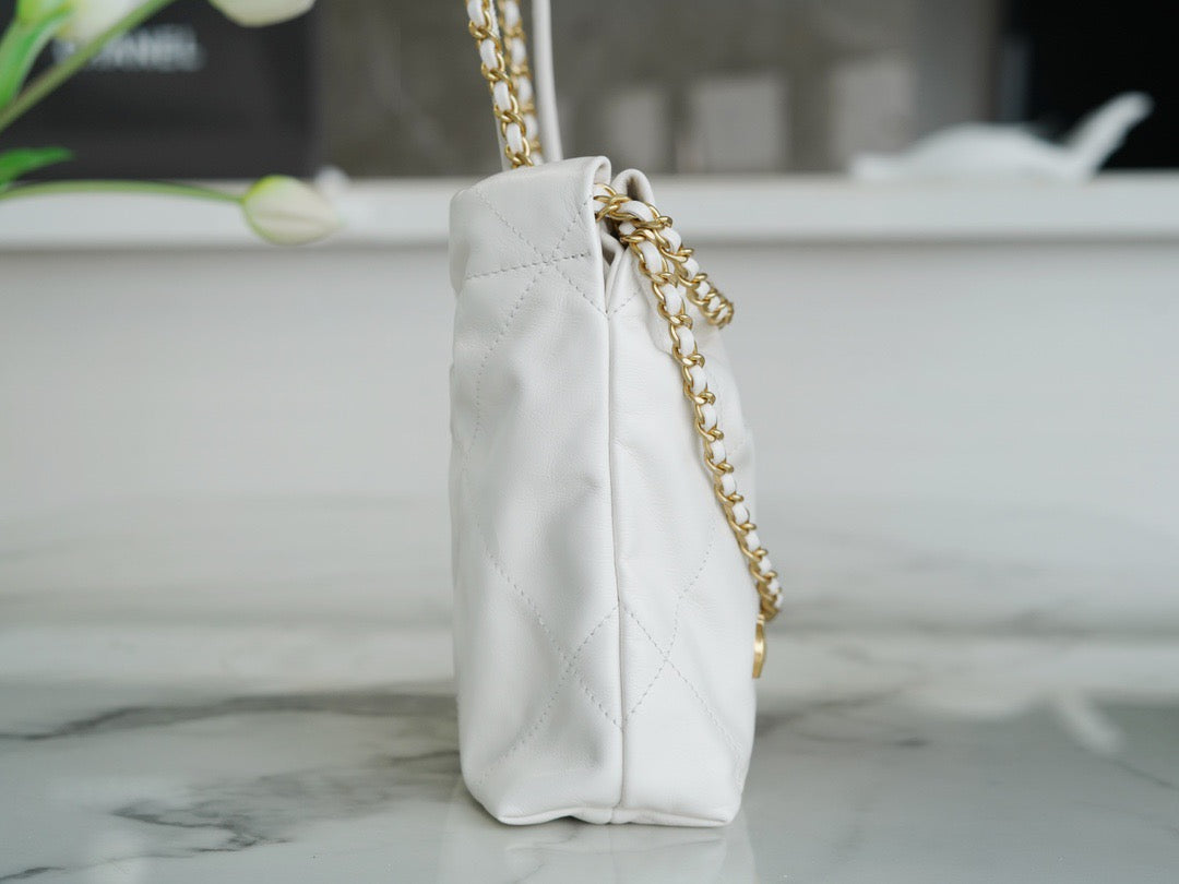 CHA 23s 22Mini Bag