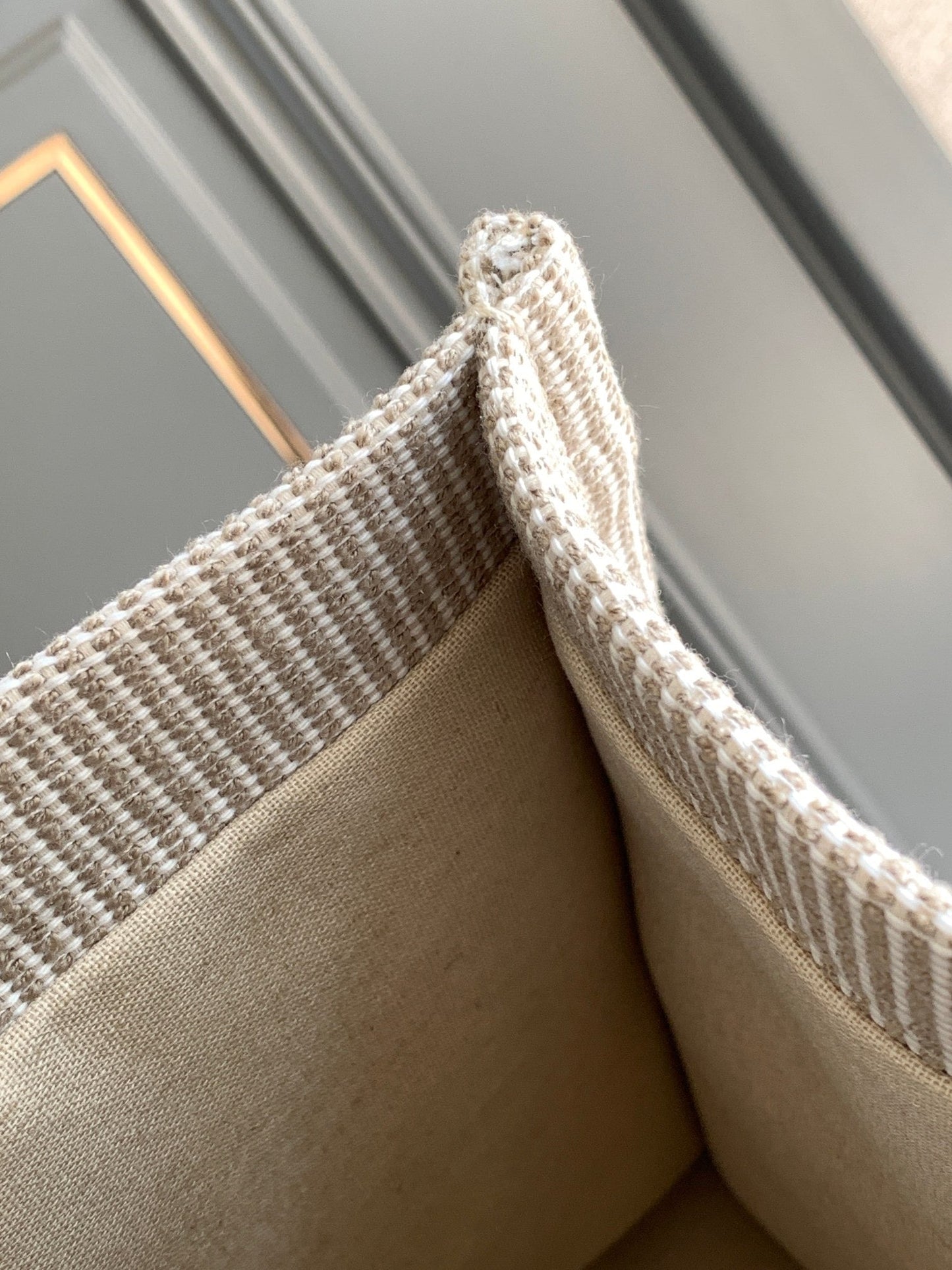 CEL Triomphe Tote
