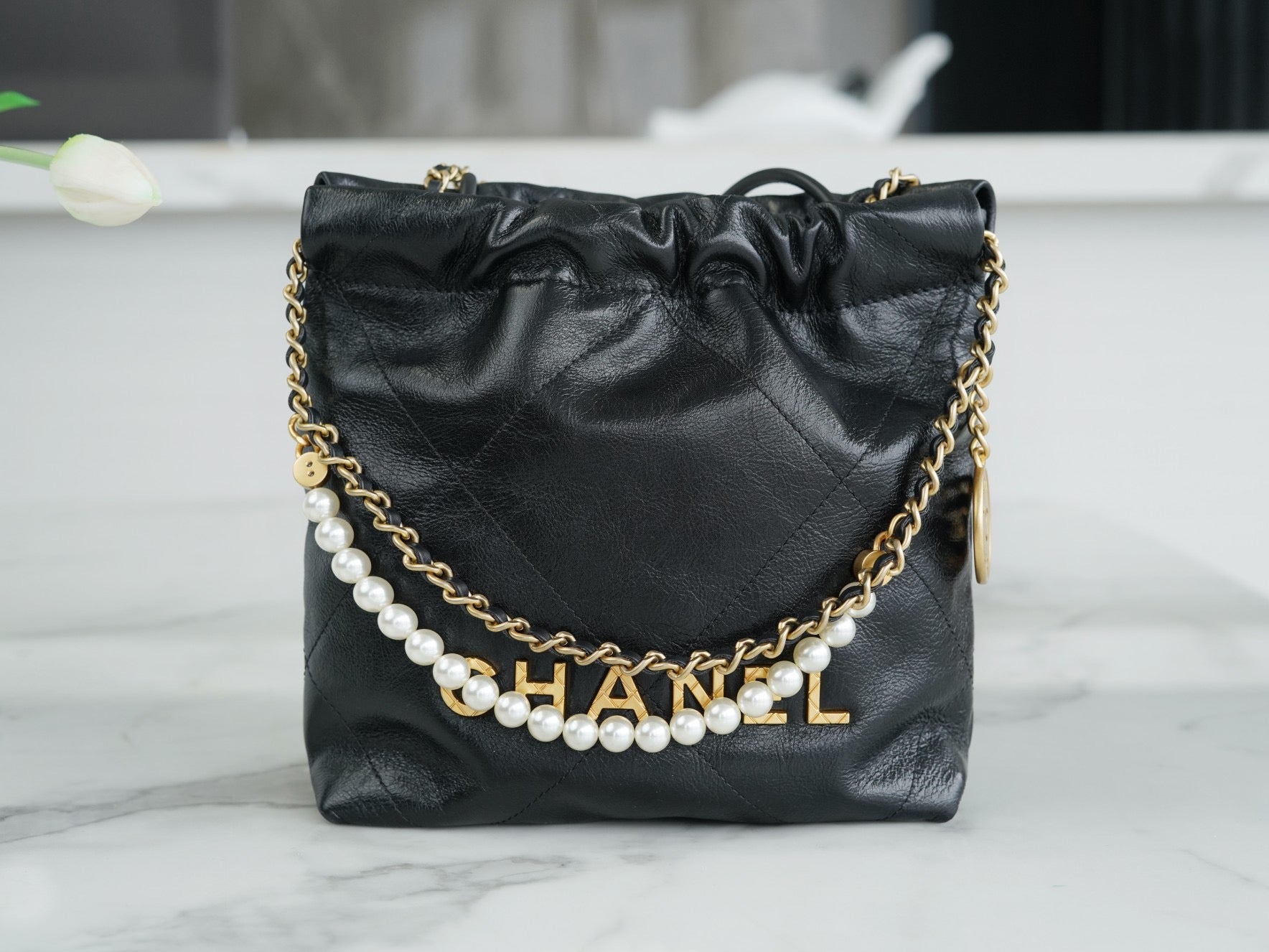 CHA 23s 22Mini Bag