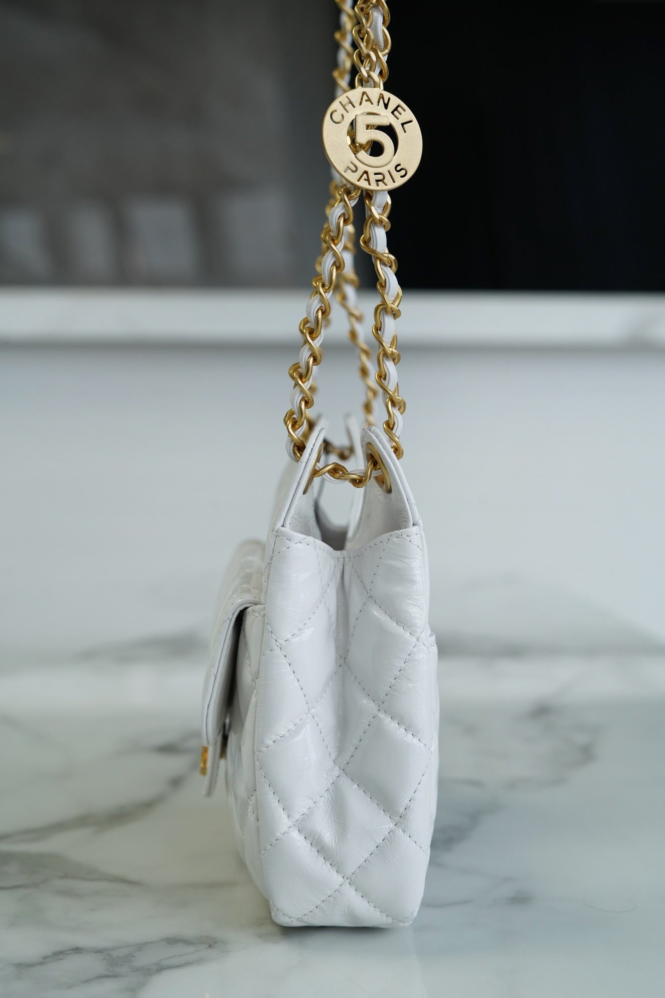 CHA 23C Hobo Bag (small)